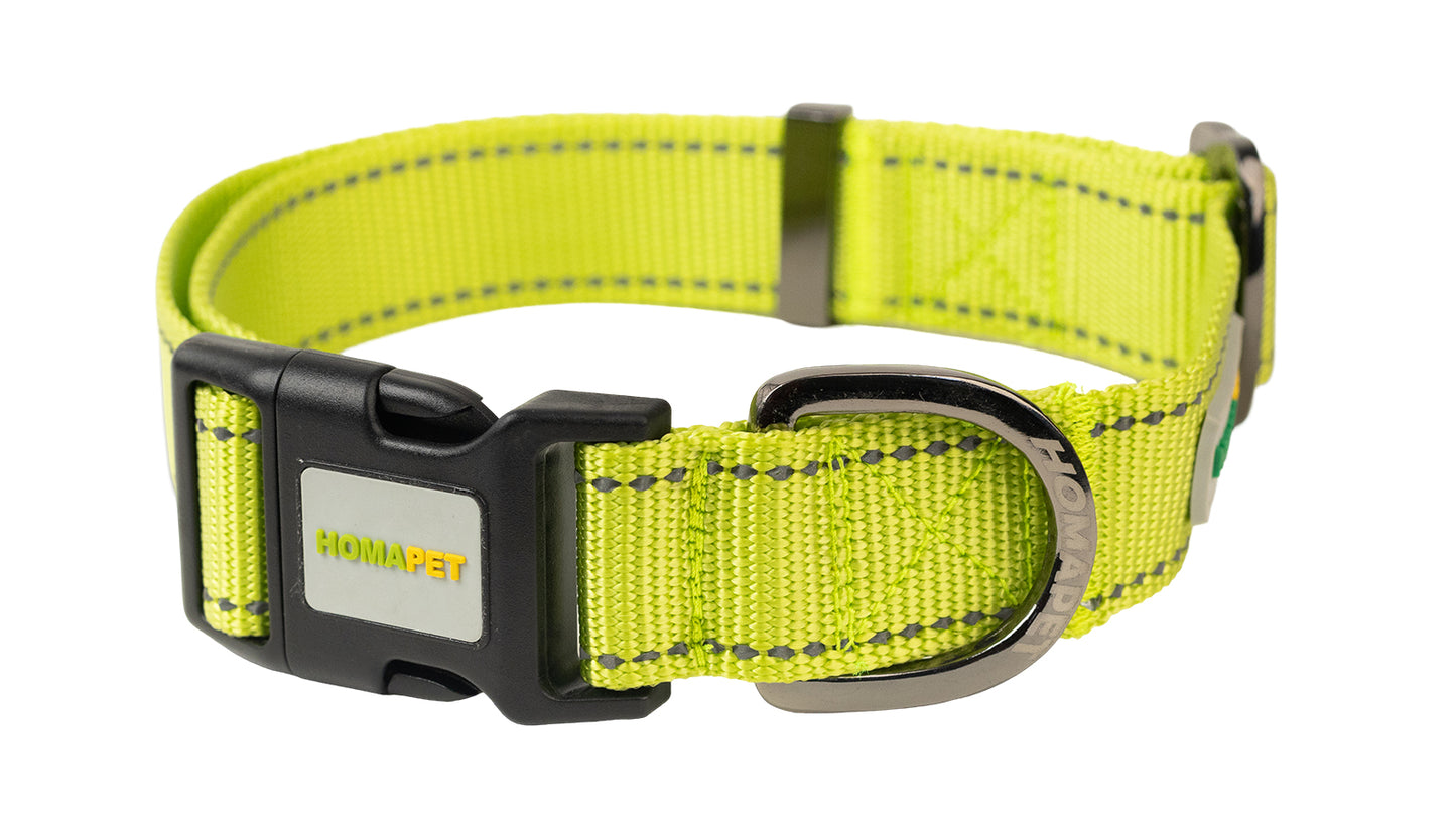 F S Green Nylon Dog Collar