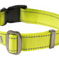 F S Green Nylon Dog Collar