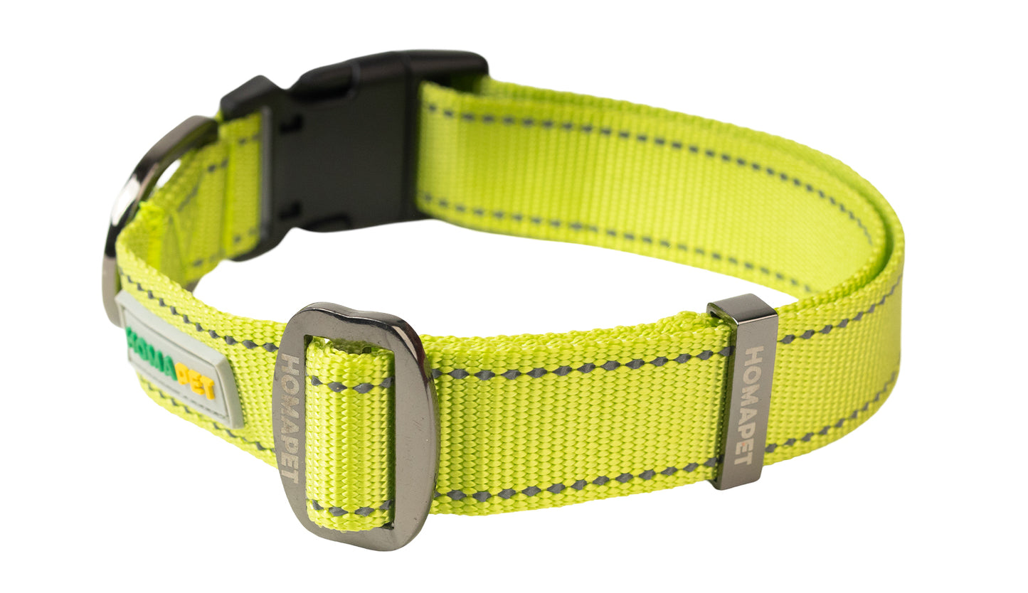 F S Green Nylon Dog Collar