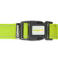 F S Green Nylon Dog Collar