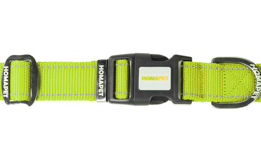 F S Green Nylon Dog Collar