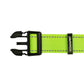 F S Green Nylon Dog Collar