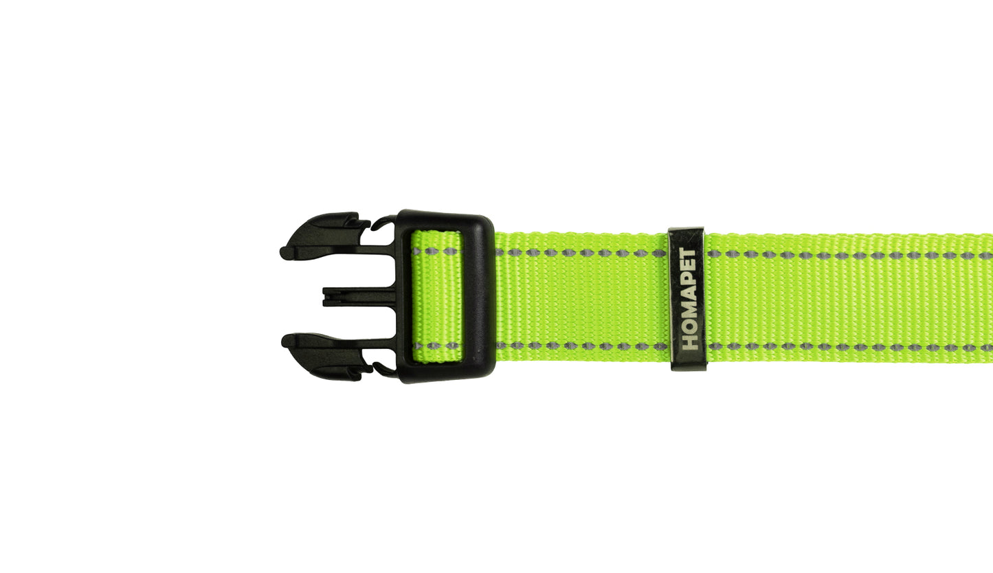 F S Green Nylon Dog Collar