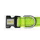 F S Green Nylon Dog Collar