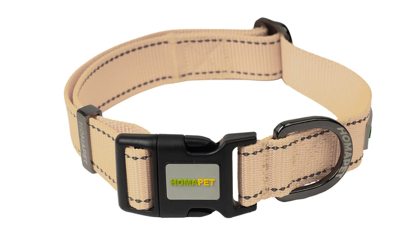 Ivory Nylon Dog Collar