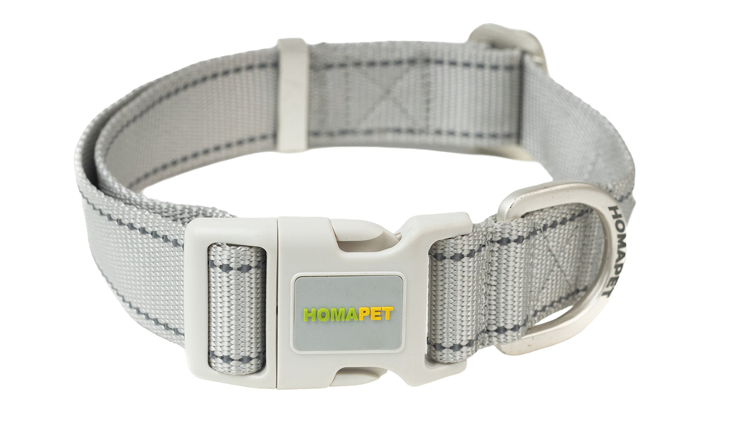 Light Grey Nylon Dog Collar