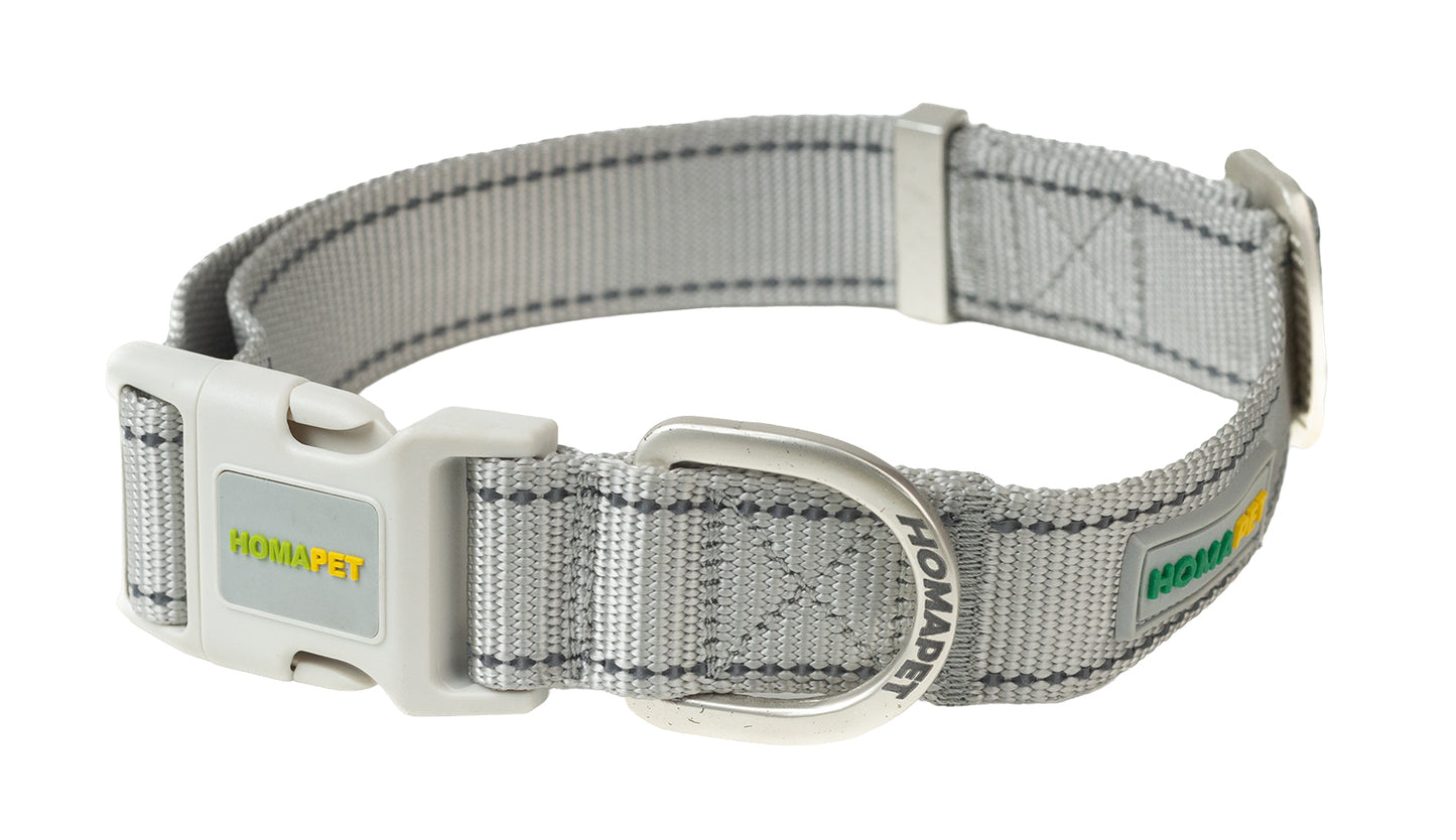 Light Grey Nylon Dog Collar