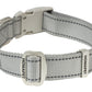 Light Grey Nylon Dog Collar