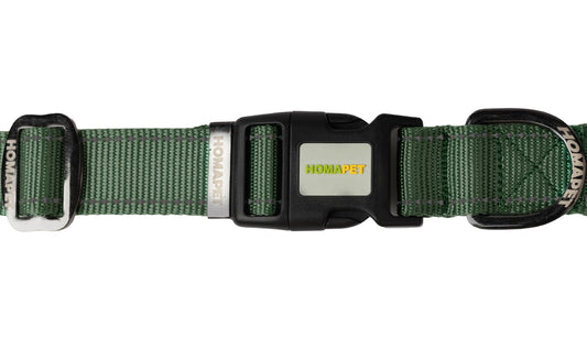 Olive Green Nylon Dog Collar