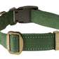 Olive Green Nylon Dog Collar