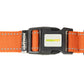 Orange Nylon Dog Collar