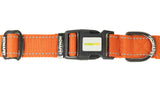 Orange Nylon Dog Collar