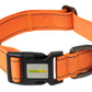 Orange Nylon Dog Collar