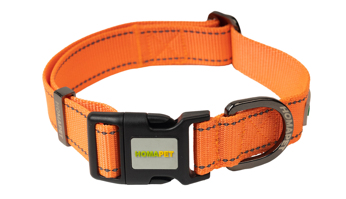 Orange Nylon Dog Collar