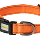 Orange Nylon Dog Collar