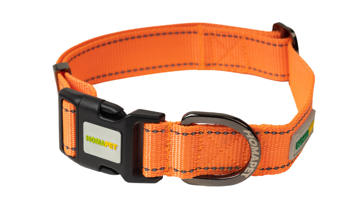 Orange Nylon Dog Collar