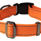 Orange Nylon Dog Collar