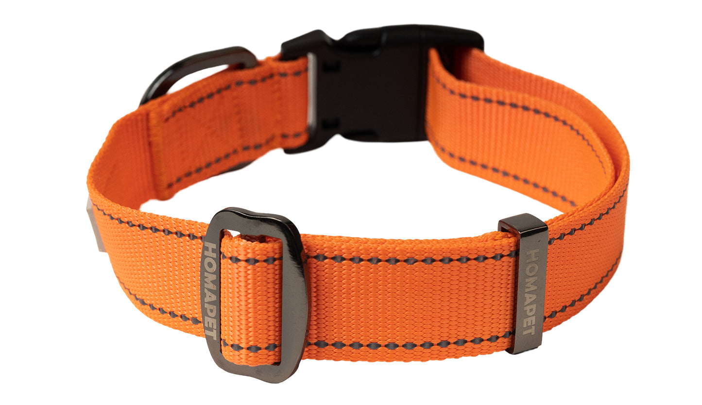 Orange Nylon Dog Collar