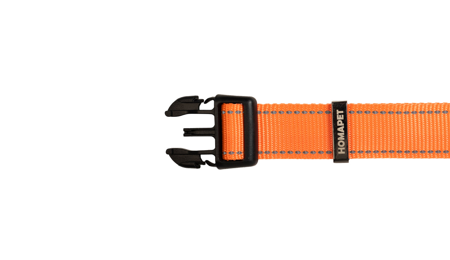 Orange Nylon Dog Collar