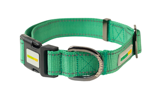 Poly Green Nylon Dog Collar