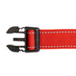 Red Nylon Dog Collar