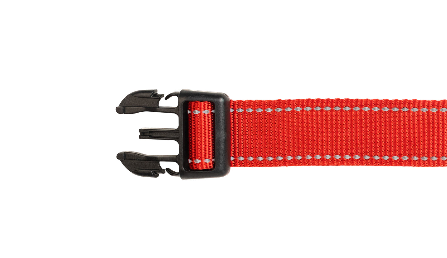 Red Nylon Dog Collar