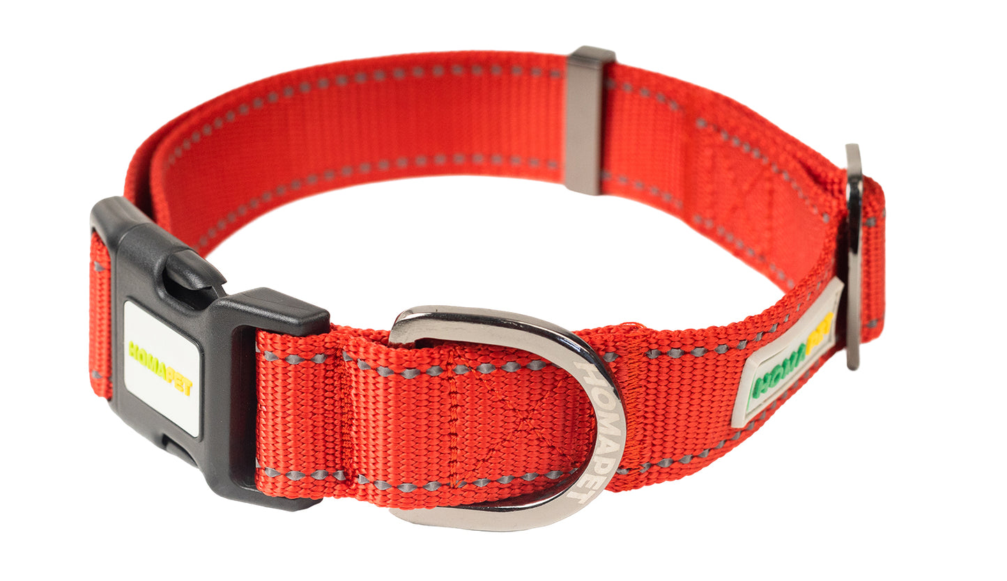 Red Nylon Dog Collar