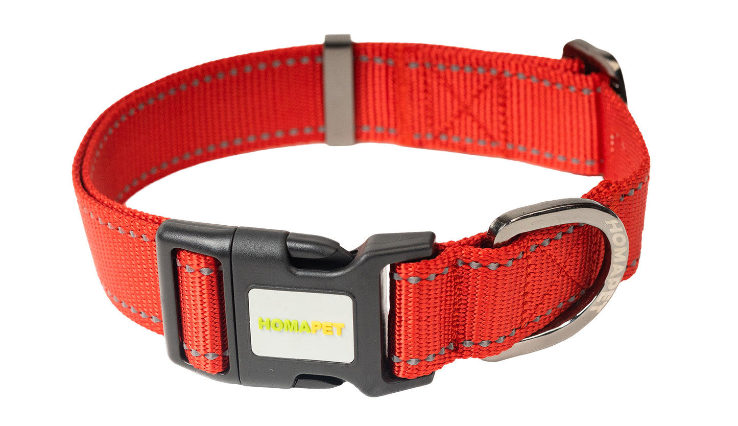 Red Nylon Dog Collar