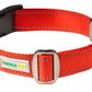 Red Nylon Dog Collar