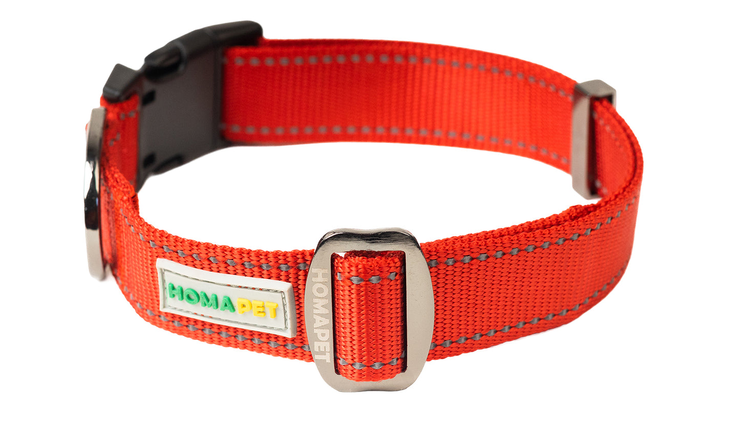 Red Nylon Dog Collar