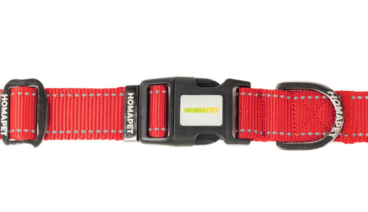 Red Nylon Dog Collar