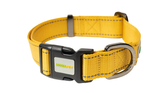 Yellow Nylon Dog Collar