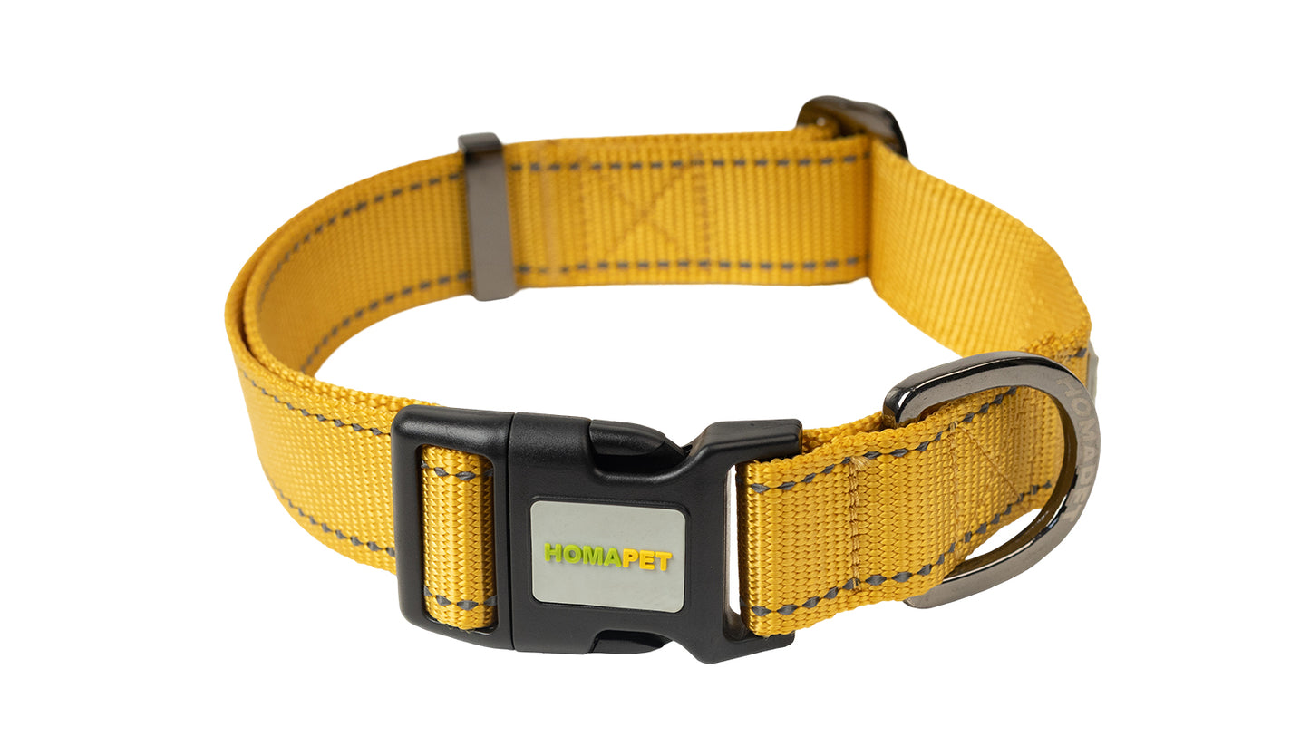 Yellow Nylon Dog Collar