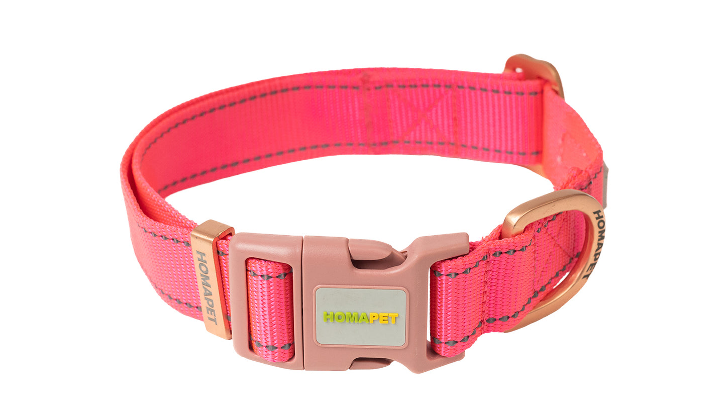 Pink Nylon Dog Collar