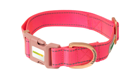 Pink Nylon Dog Collar