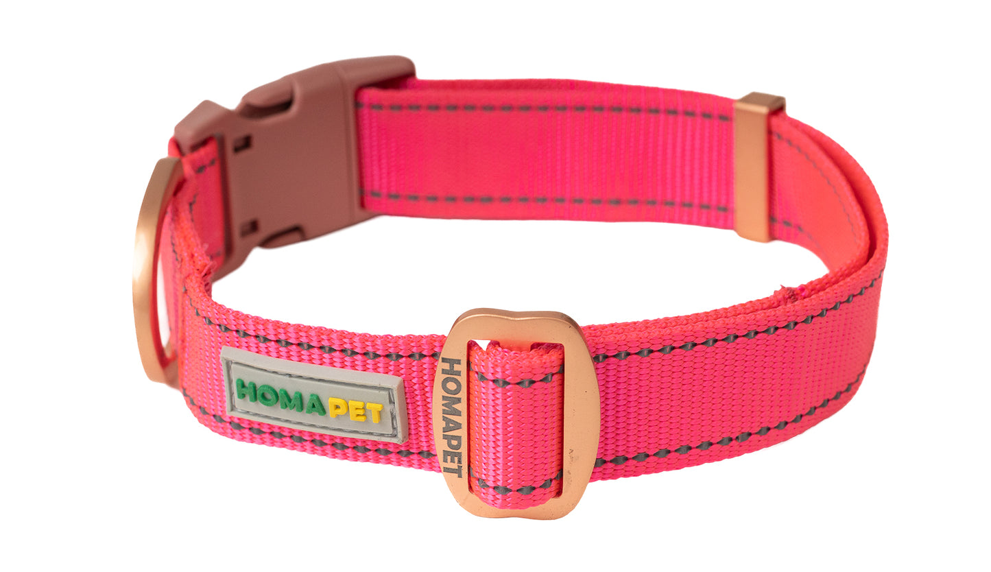 Pink Nylon Dog Collar