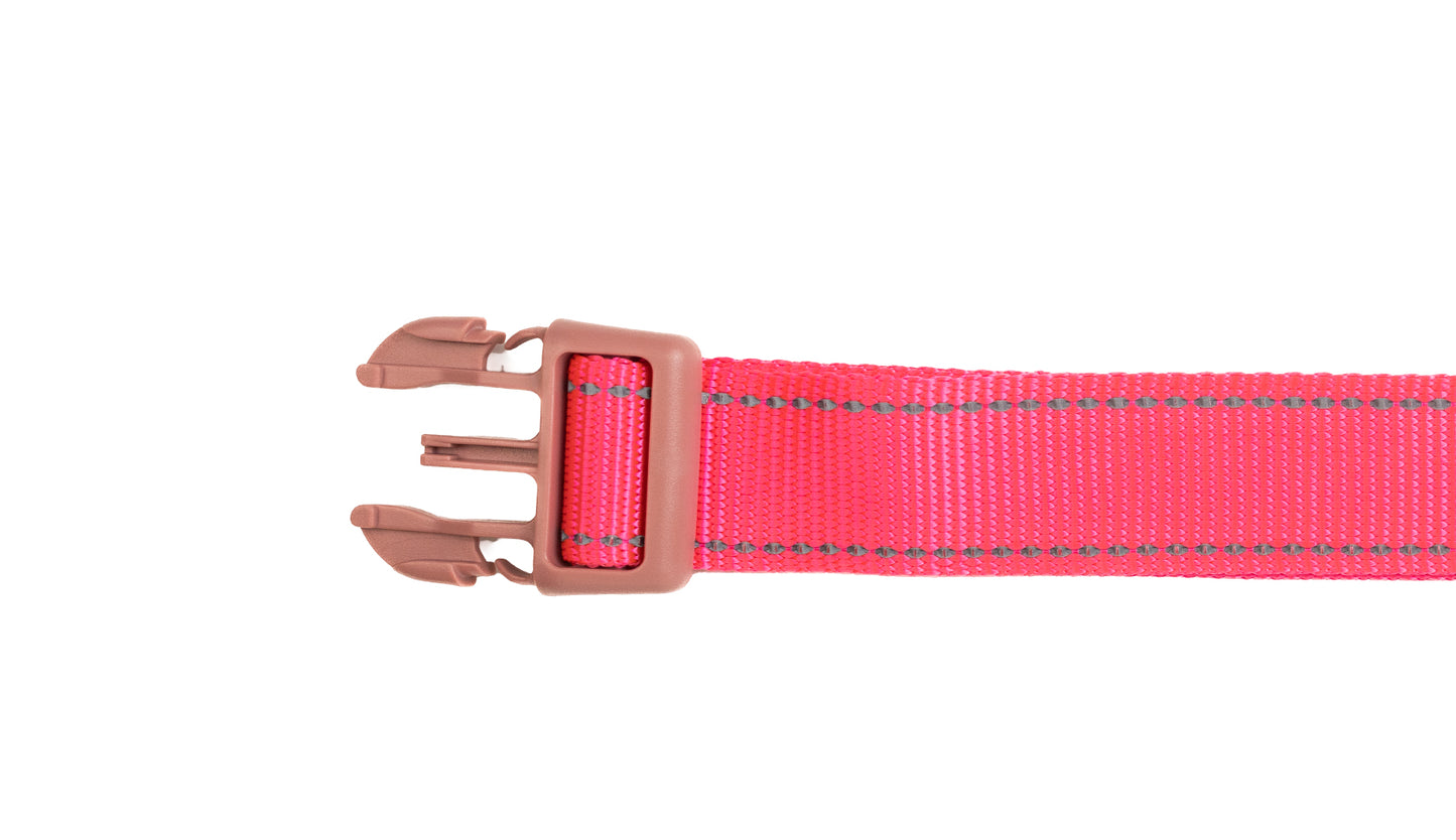 Pink Nylon Dog Collar