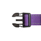 Violet Nylon Dog Collar