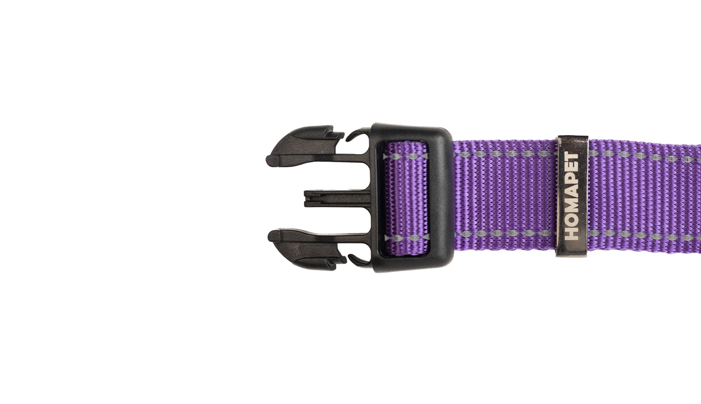 Violet Nylon Dog Collar