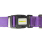 Violet Nylon Dog Collar