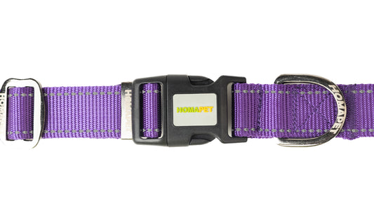 Violet Nylon Dog Collar