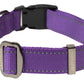 Violet Nylon Dog Collar