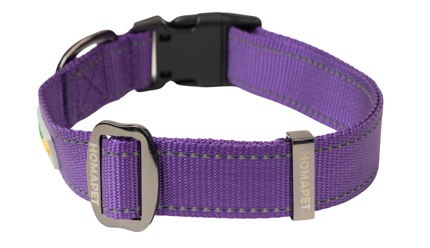 Violet Nylon Dog Collar