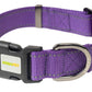 Violet Nylon Dog Collar