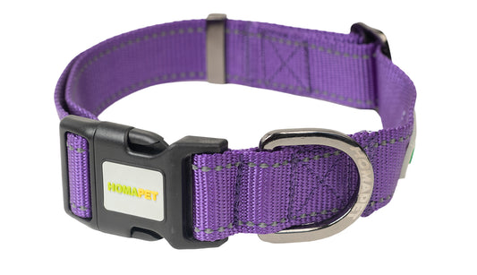 Violet Nylon Dog Collar