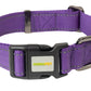 Violet Nylon Dog Collar