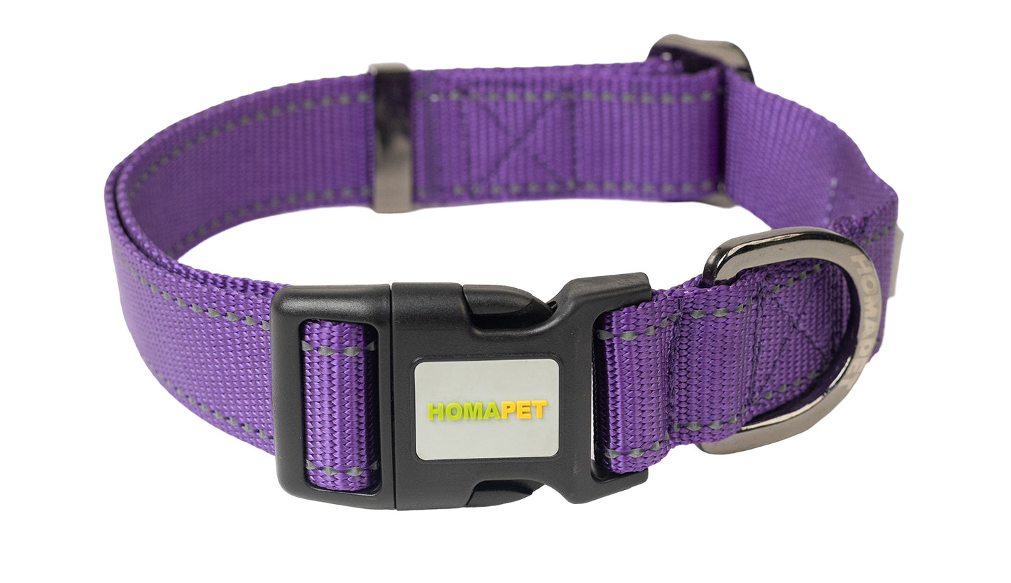 Violet Nylon Dog Collar