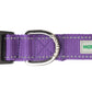 Violet Nylon Dog Collar