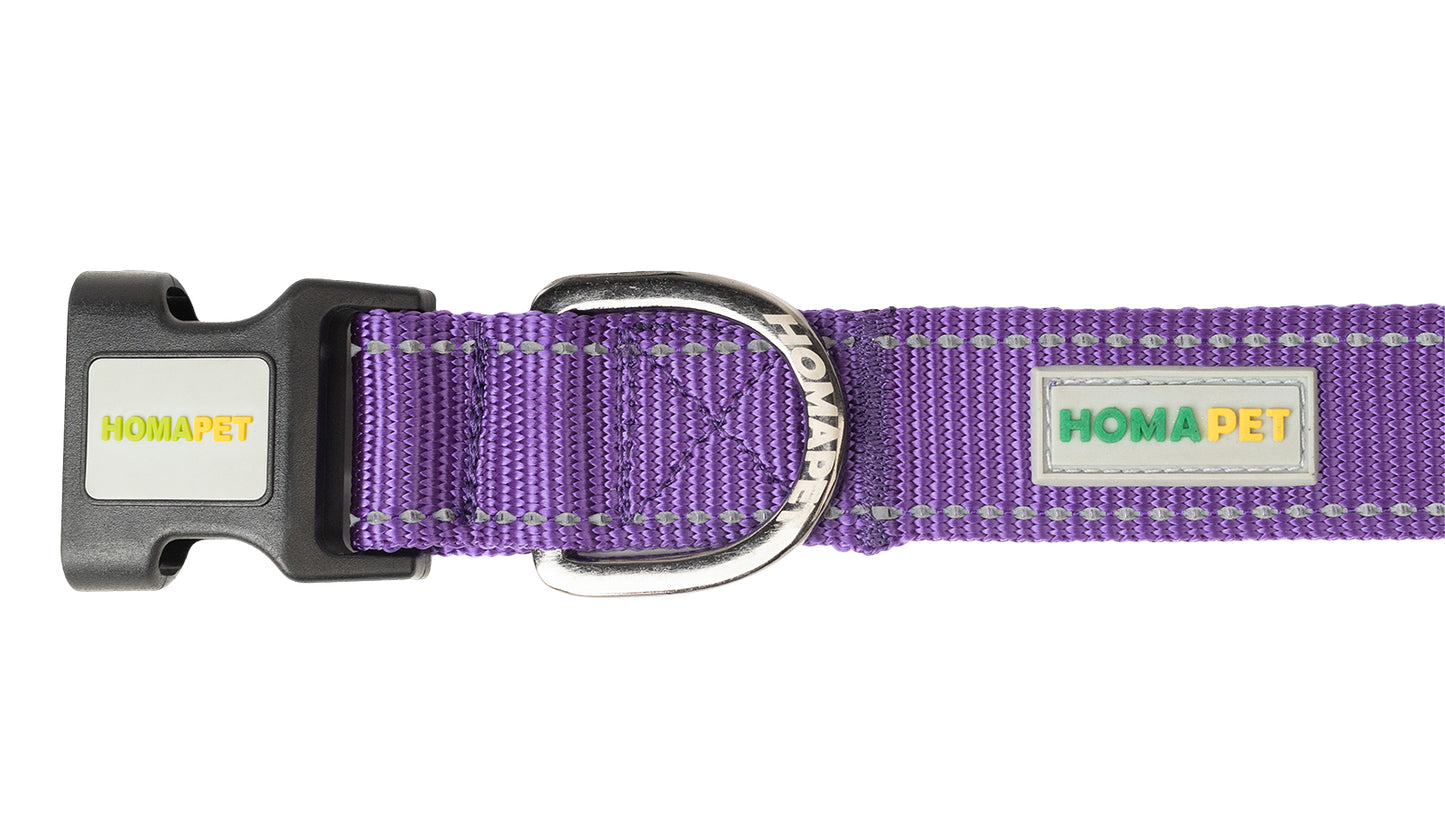 Violet Nylon Dog Collar