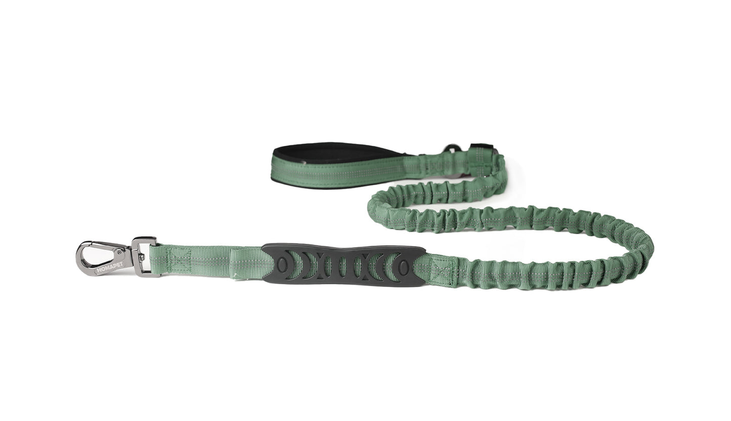 Olive Green Nylon Full Bungee Dog Leash